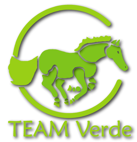 Logo von Team Verde - Pferd in offenem Kreis